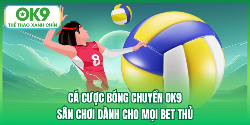 cá cược bóng chuyền ok9