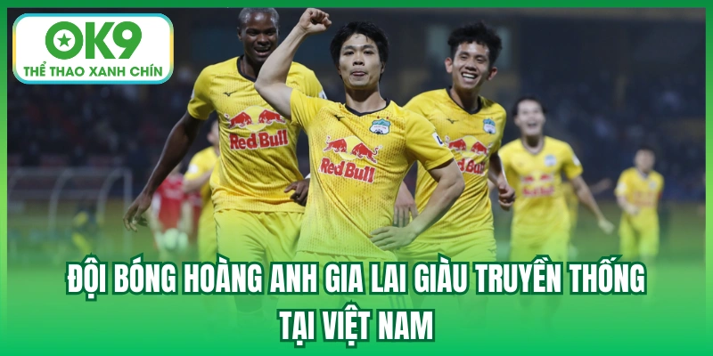 Đội bóng Hoàng Anh Gia Lai giàu truyền thống tại Việt Nam